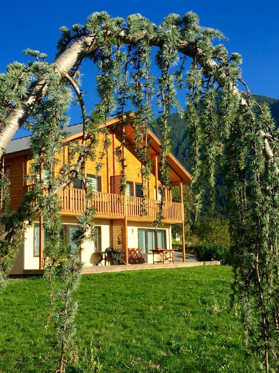 Les Chalets Fleurs De France - Kota Saint-Dalmas Екстериор снимка