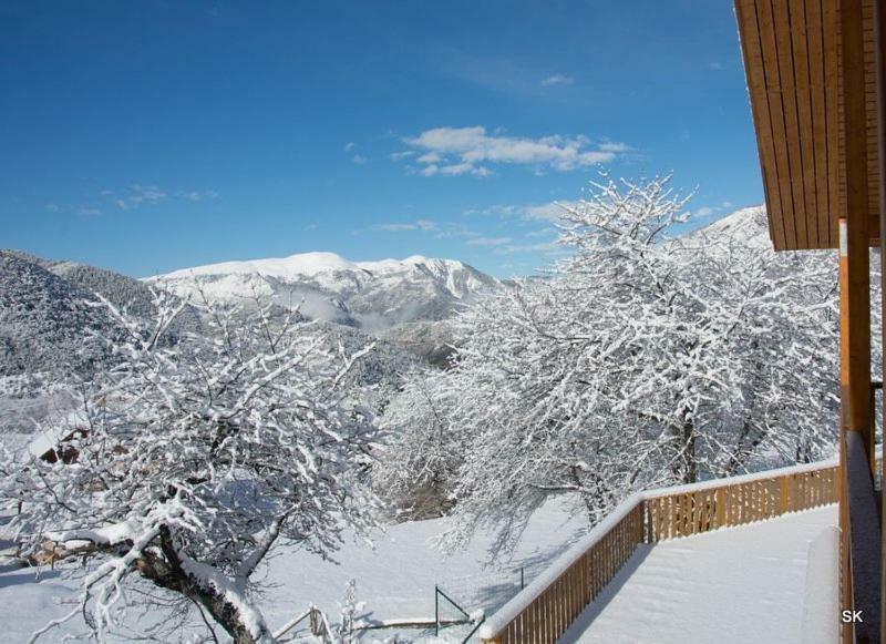 Les Chalets Fleurs De France - Kota Saint-Dalmas Екстериор снимка